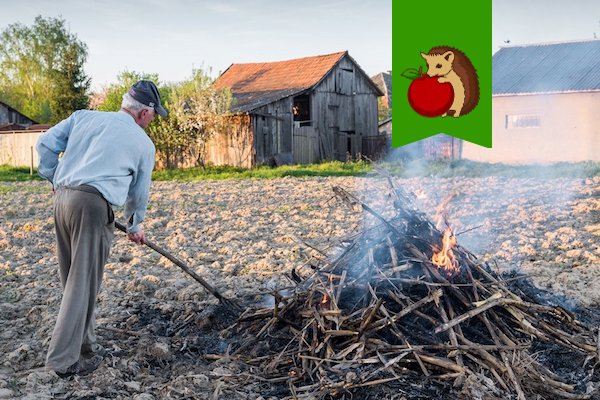 Так все-таки можно жечь ветки и мусор на даче с 1 января 2021 года или нет?0