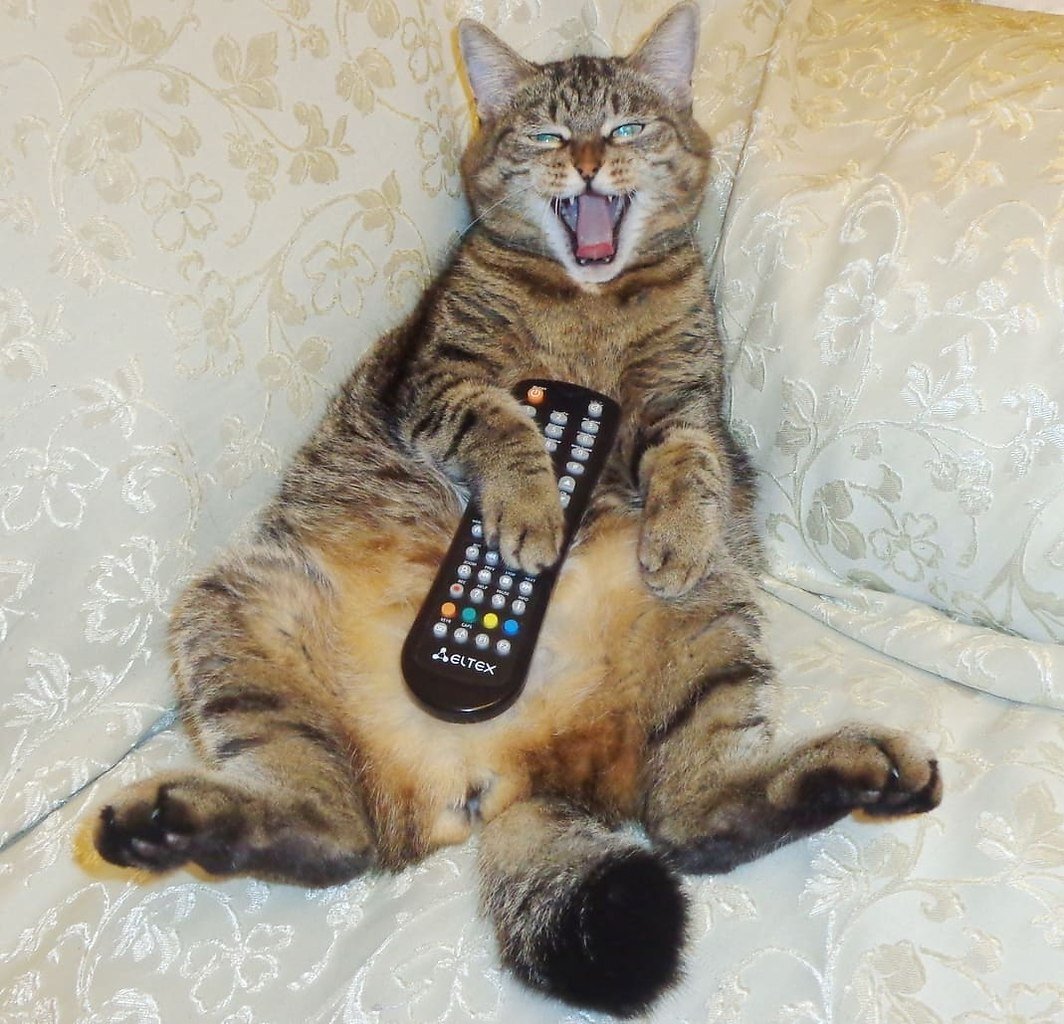 Взято с yandex.ru/images