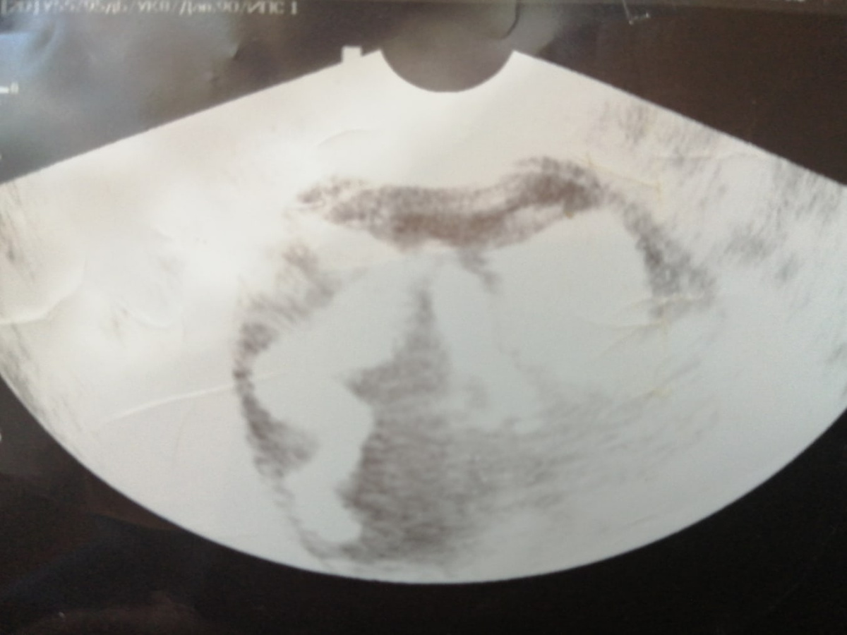 Фото с просторов интернета