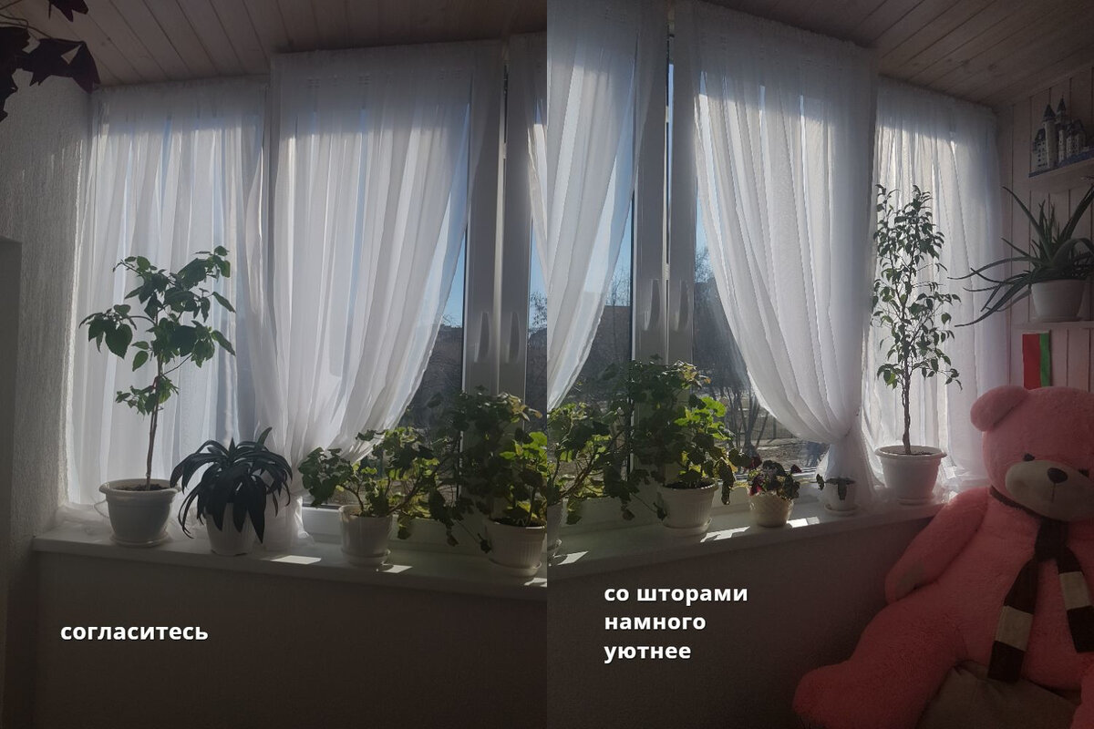 личные фото(немного темновато фото, прошу прощения)