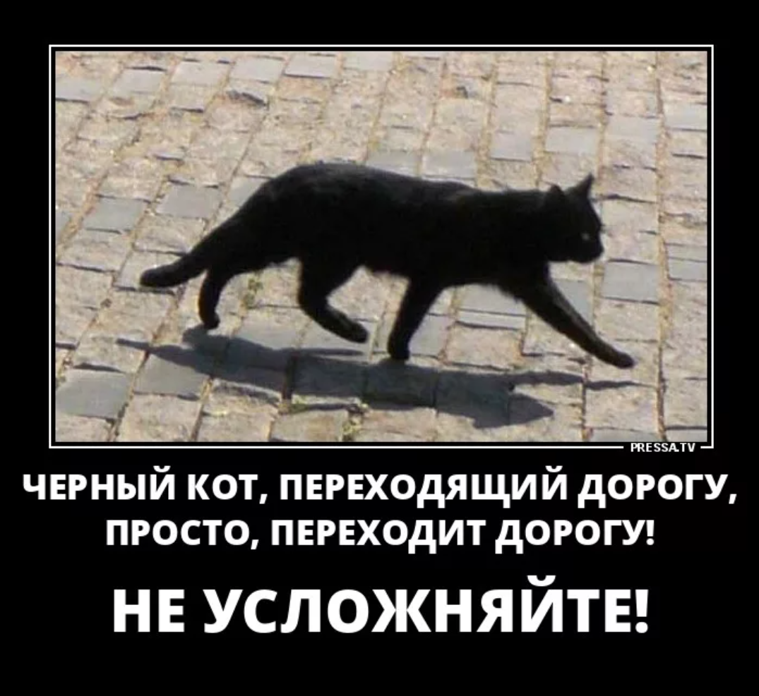 Черные коты мем. Черный кот переходит дорогу. Есличерначкошкаперешладорогу. Кошка перебежала дорогу. Если кот перешел дорогу туда и обратно.