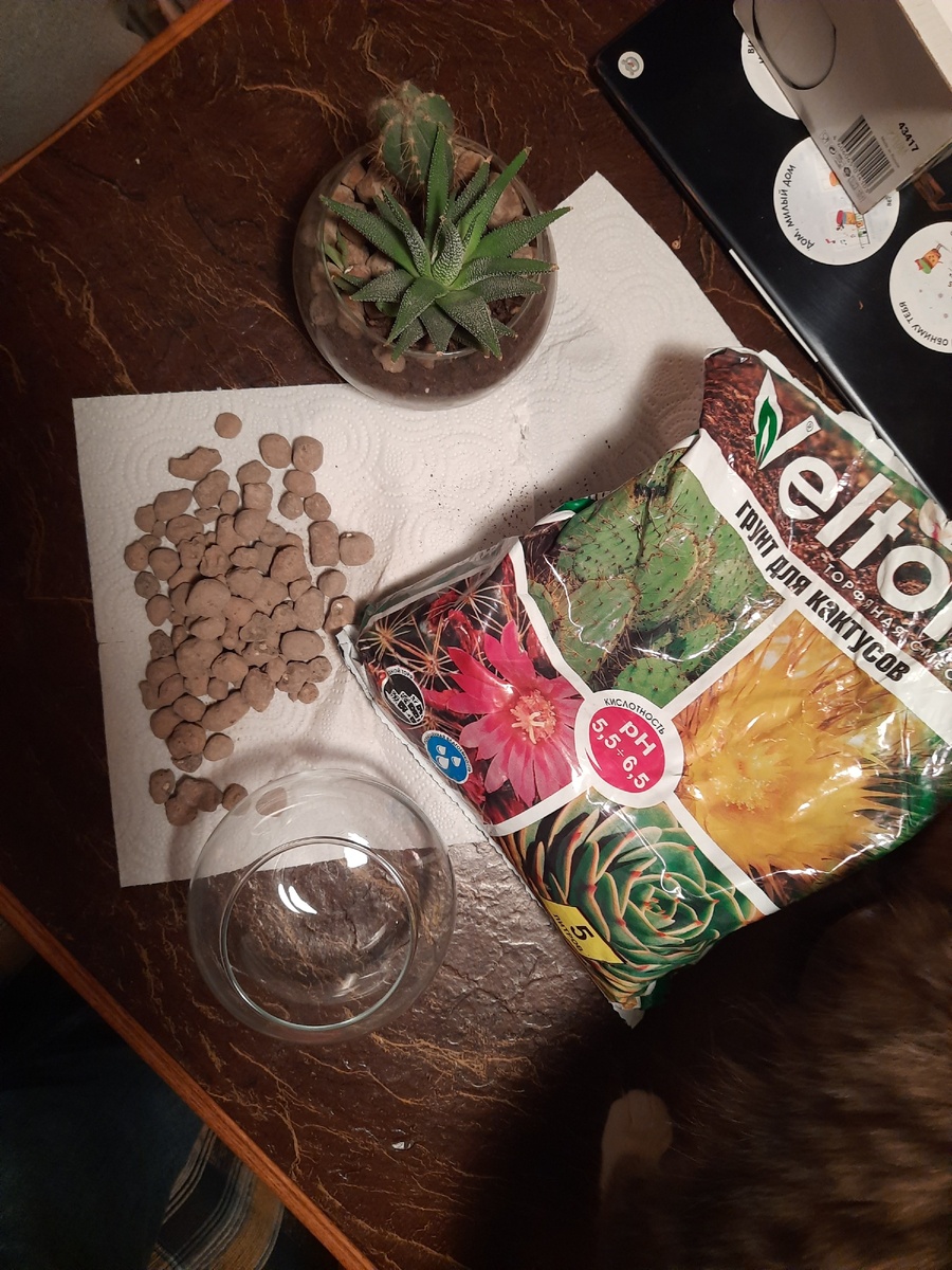 Это все, что понадобится для создания красоты и уюта прямо у себя дома.