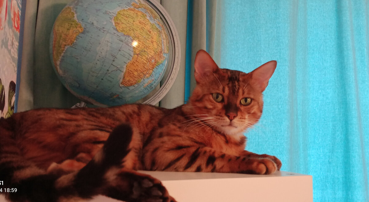 Фото автора)