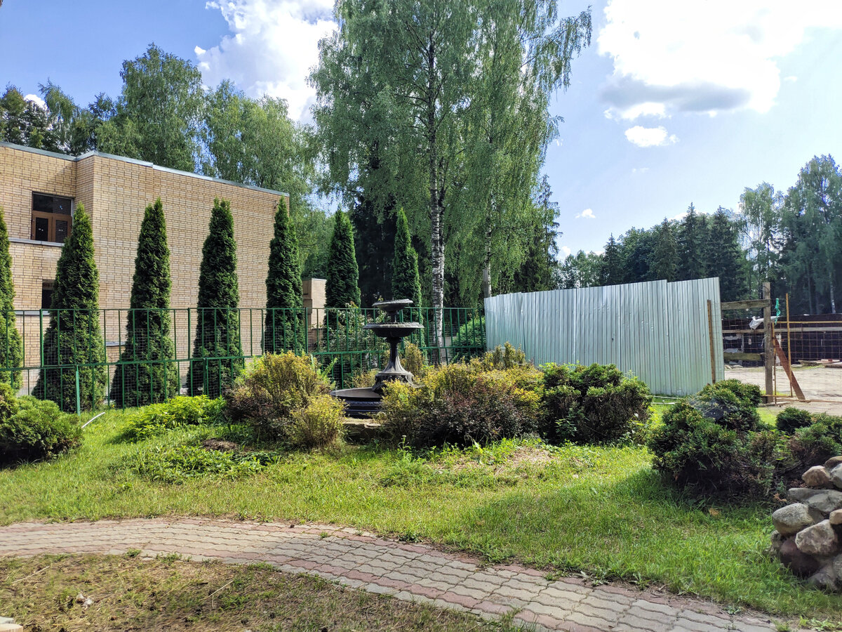 Жилой корпус с красотками-туями и тут же строителтный забор с разрушенным аквапарком