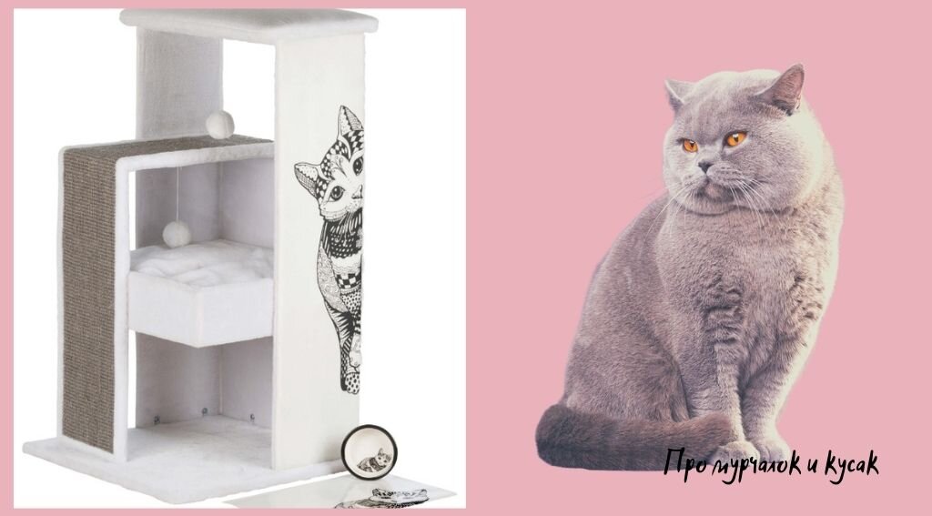 Прекрасный дом