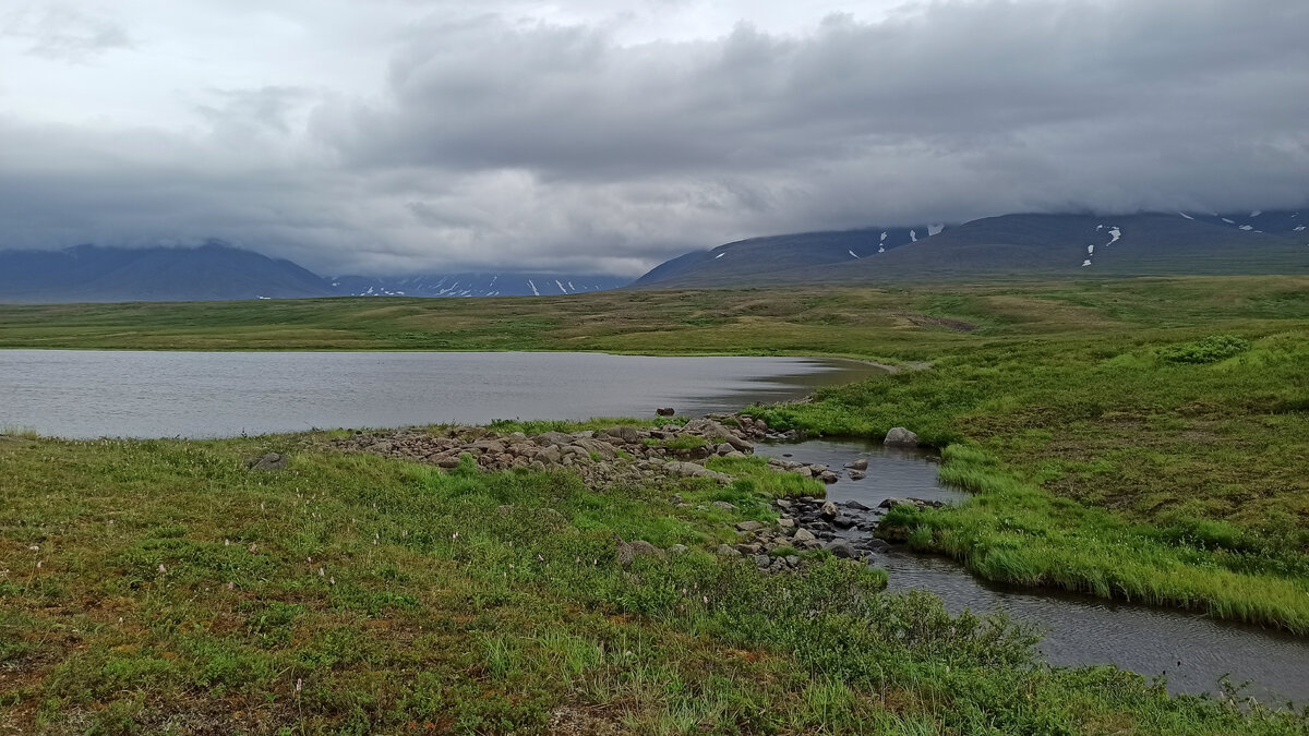 Июля урал. Rannoch Moor. Сиреники Чукотка. Нунлигран Чукотка.