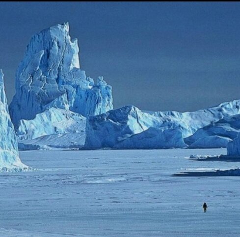 На северном и южном полюсе не возможно заболеть, все иза того что вирусы там просто не выживают 