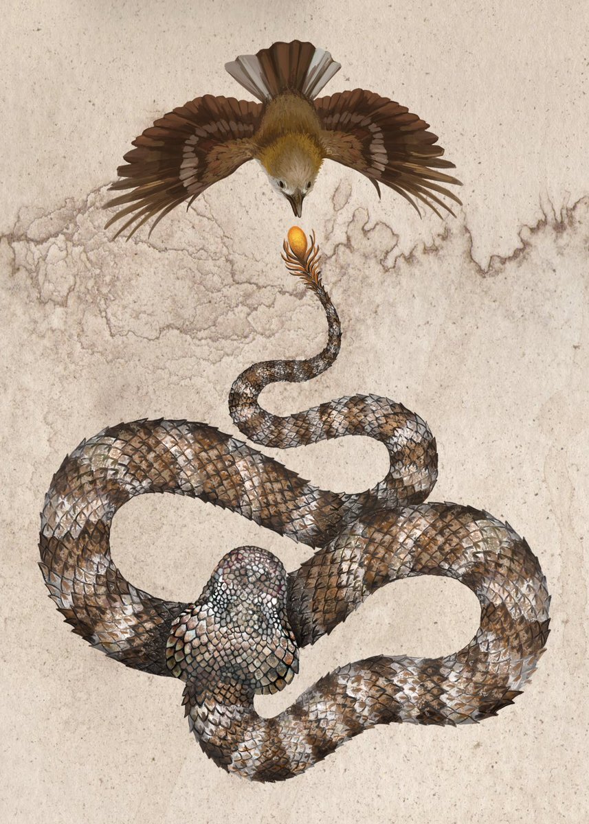 Принцип охоты ложнорогатой гадюки. Яндекс. Картинки.