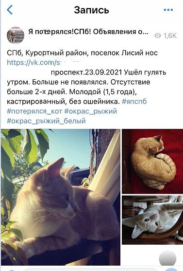 Объявление в группе