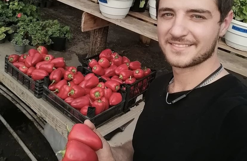 Объявление!!! Приём заказов на семена перца