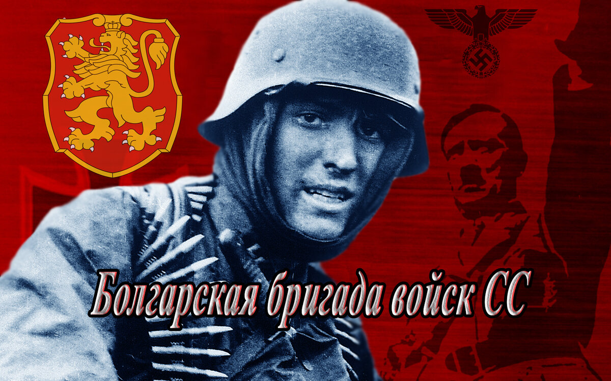 Против СССР воевала вся Европа... Как Болгарские «братушки» воевали против  Красной армии | DokArchiv | Дзен