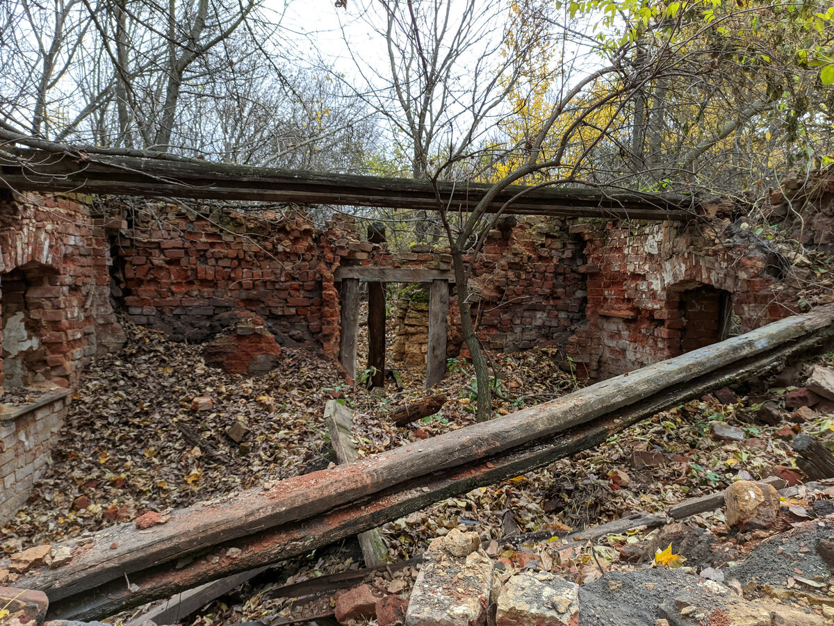 Очистили дорогу в деревне, нашли старинные заброшенные дома с погребами.  Прогулка с многодетной семьей | МИР ПРОШЛОГО | Дзен