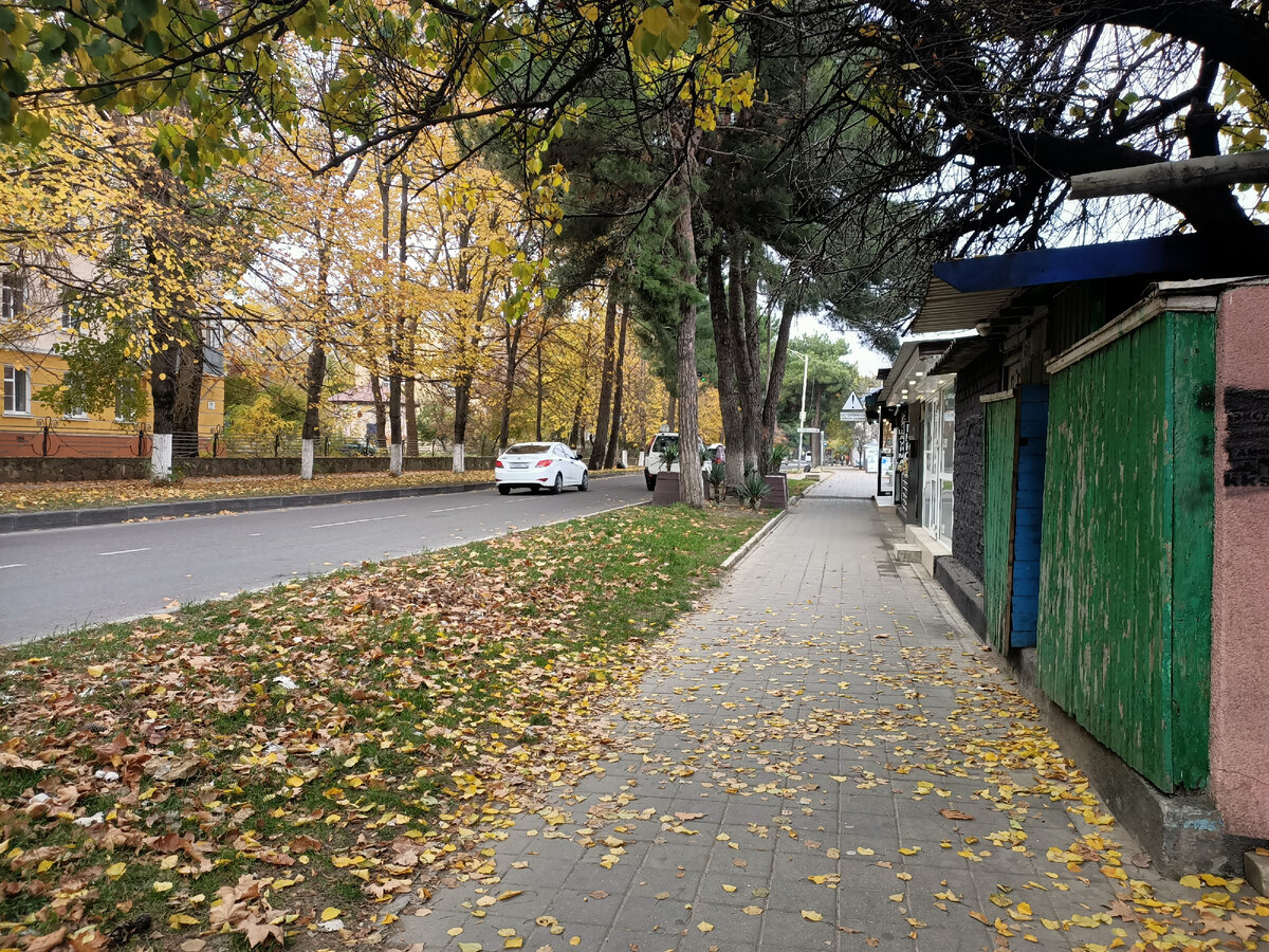 ул. Ленина в листьях