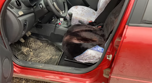 Моя Лада Гранта. Как воет коробка, сколько расходует бензина, состояние ...