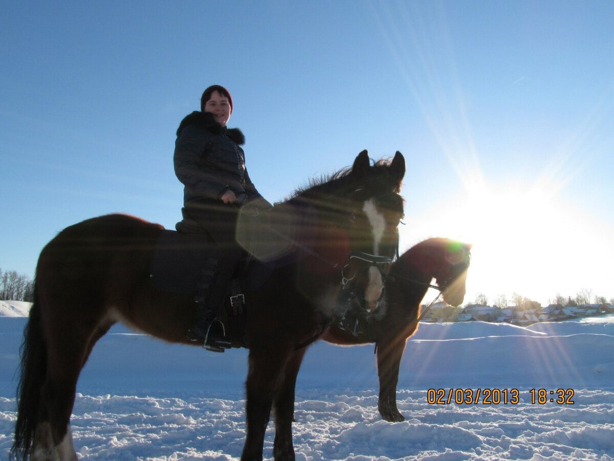 #конный спорт #лошади #верховая езда 