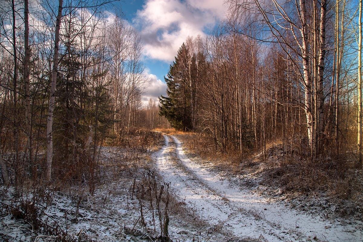 Фото — radikal.ru