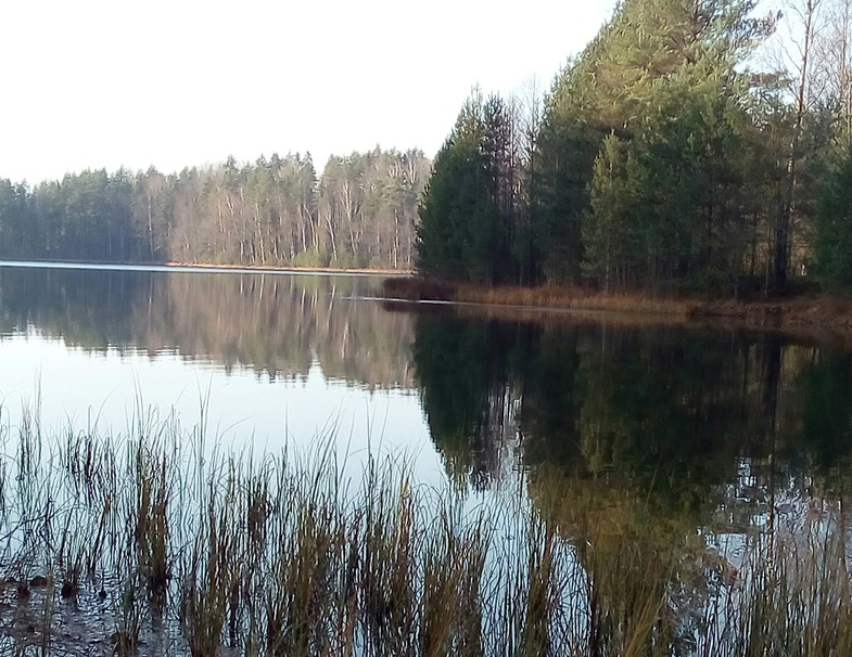 Воплощенный покой. Фото автора.