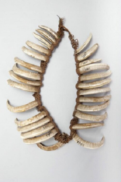 Ожерелье. Маркизские острова Начало XIX века. Коллекция Кунсткамеры