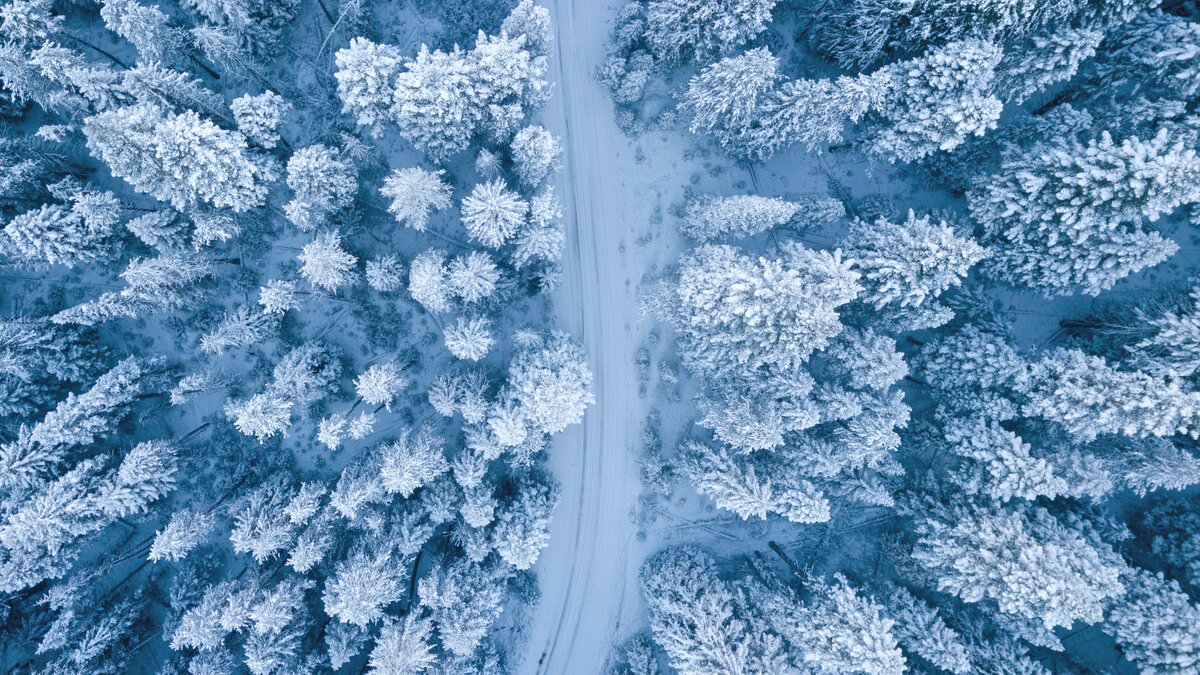 Фото Ruvim Miksanskiy: Pexels