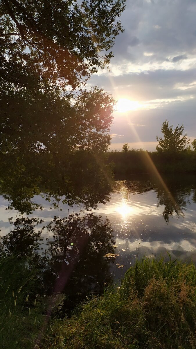 Река Пахра в районе села Домодедово. Фото моё