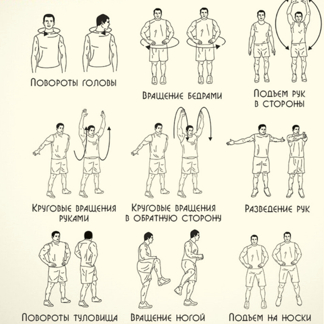 Полный комплекс упражнений. Разминочные упражнения перед тренировкой. Упражнения для разогрева мышц перед тренировкой. Схема разминки перед тренировкой. Упражнения для разминки перед тренировкой схема.