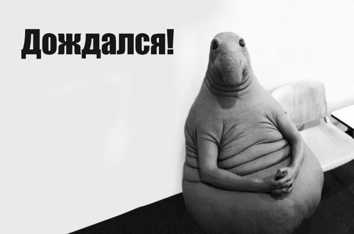 Ждун не дождался картинка