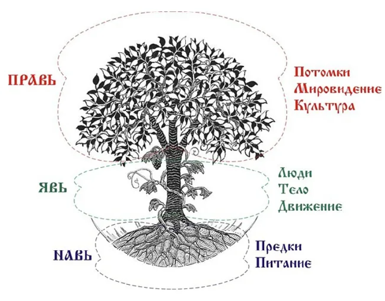 МИРОВОЕ ДЕРЕВО в славянской мифологии | Георгий Бирюков | Дзен