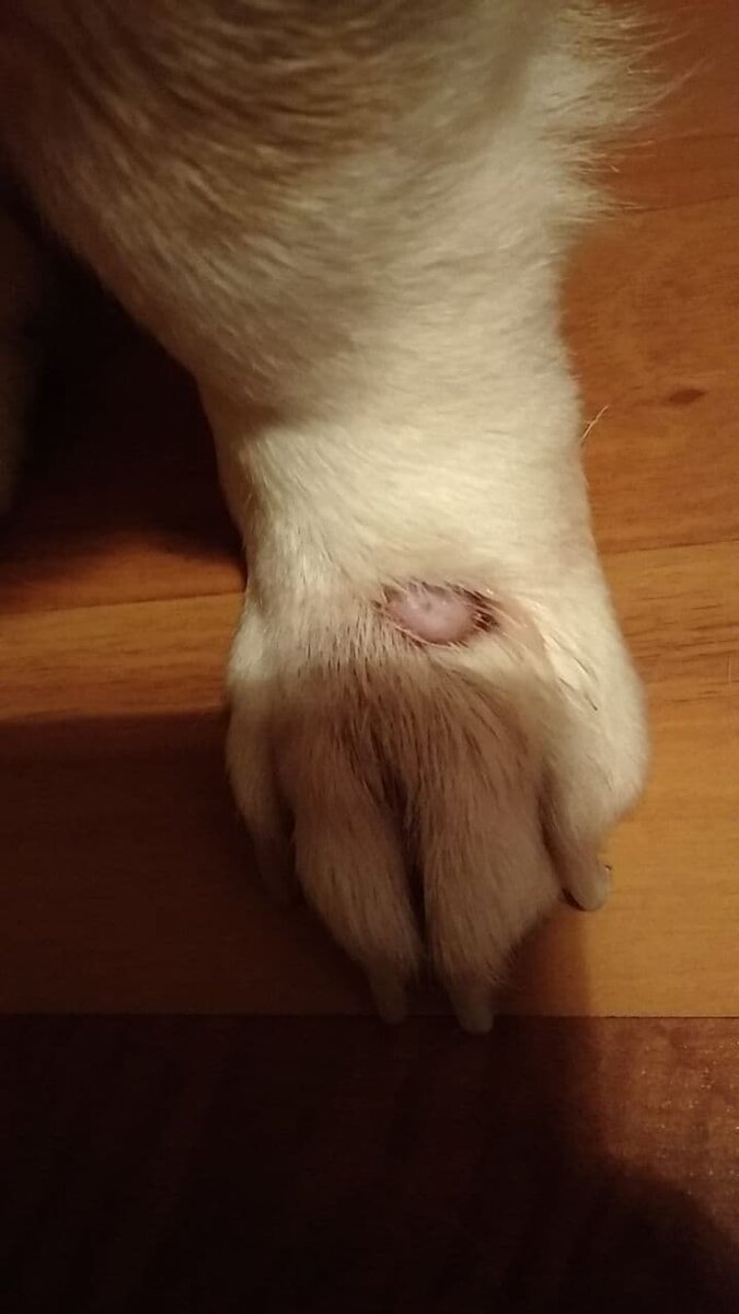 Фото из личного архива