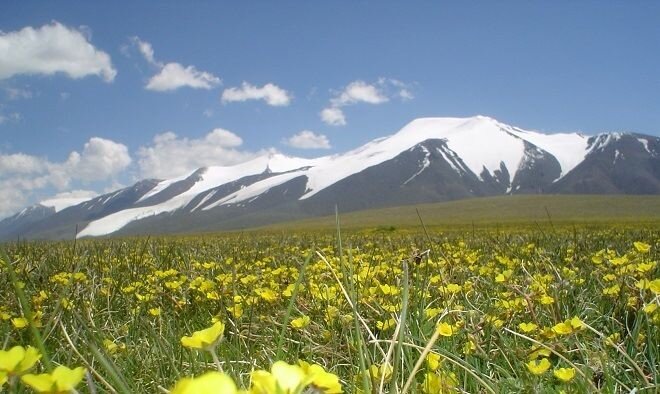 Вид на горный хребет Монгольский Алтай. Фото из открытых источников