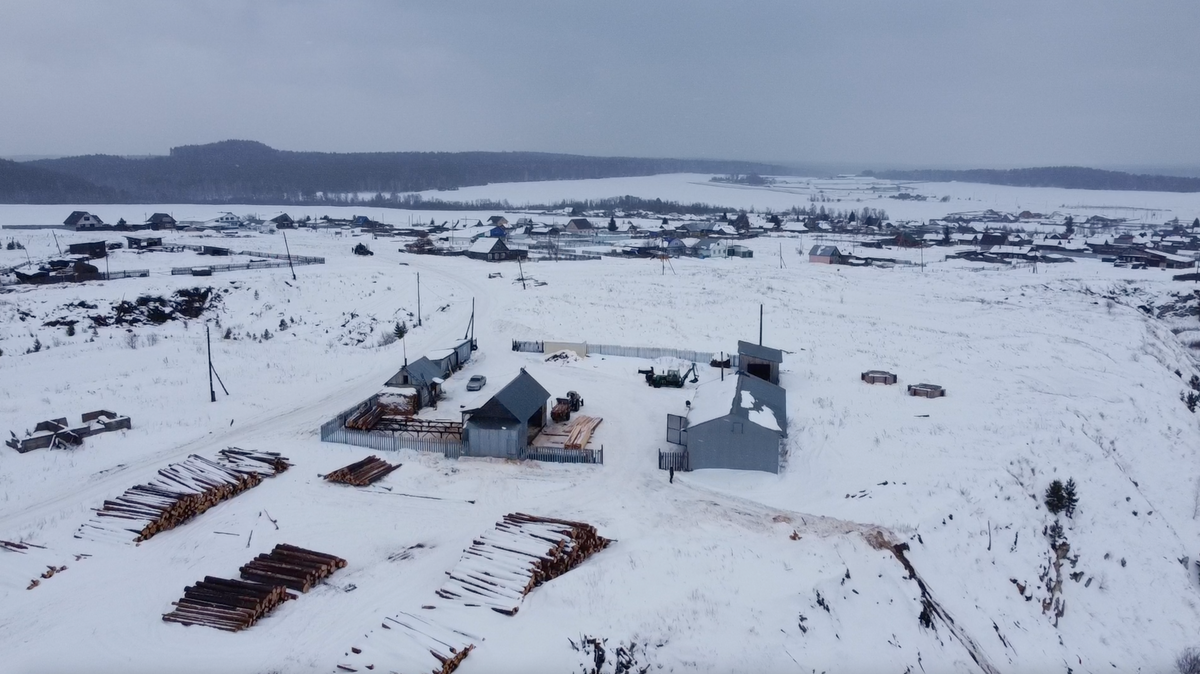 Эпопея с бесплатным лесом еще продолжается 