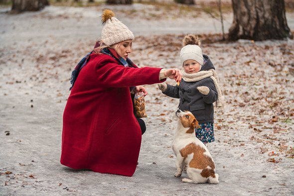 Фото: Kozub Vasyl / shutterstock