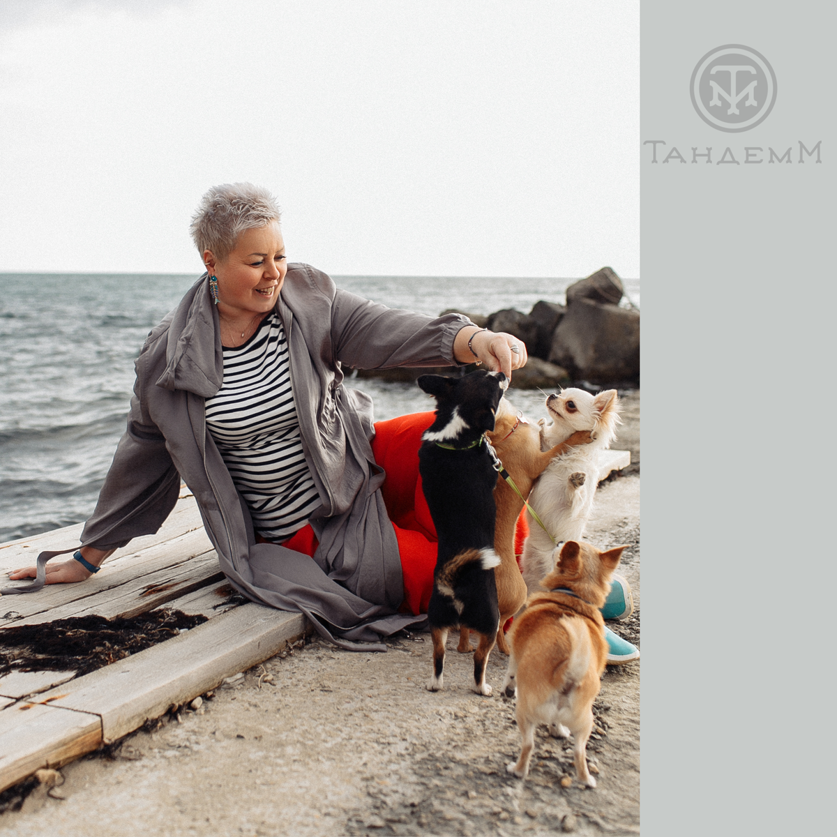 Канистерапия - лечение через общение человека с собакой.
