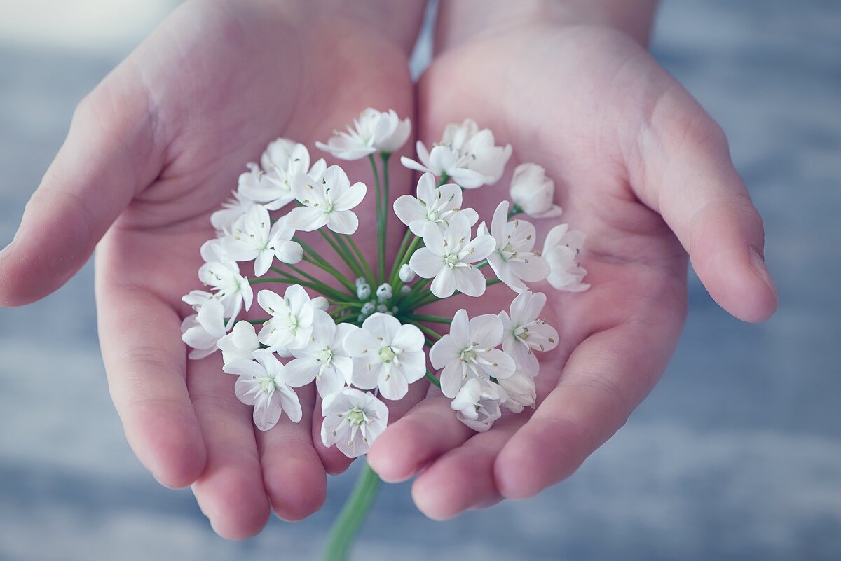 Фото Pezibear с сайта Pixabay