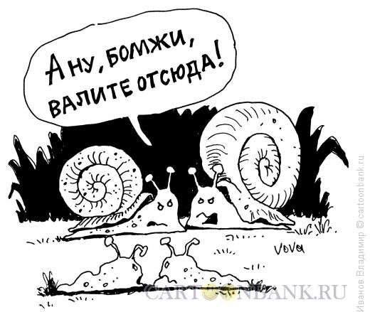 Фото из интернета.
