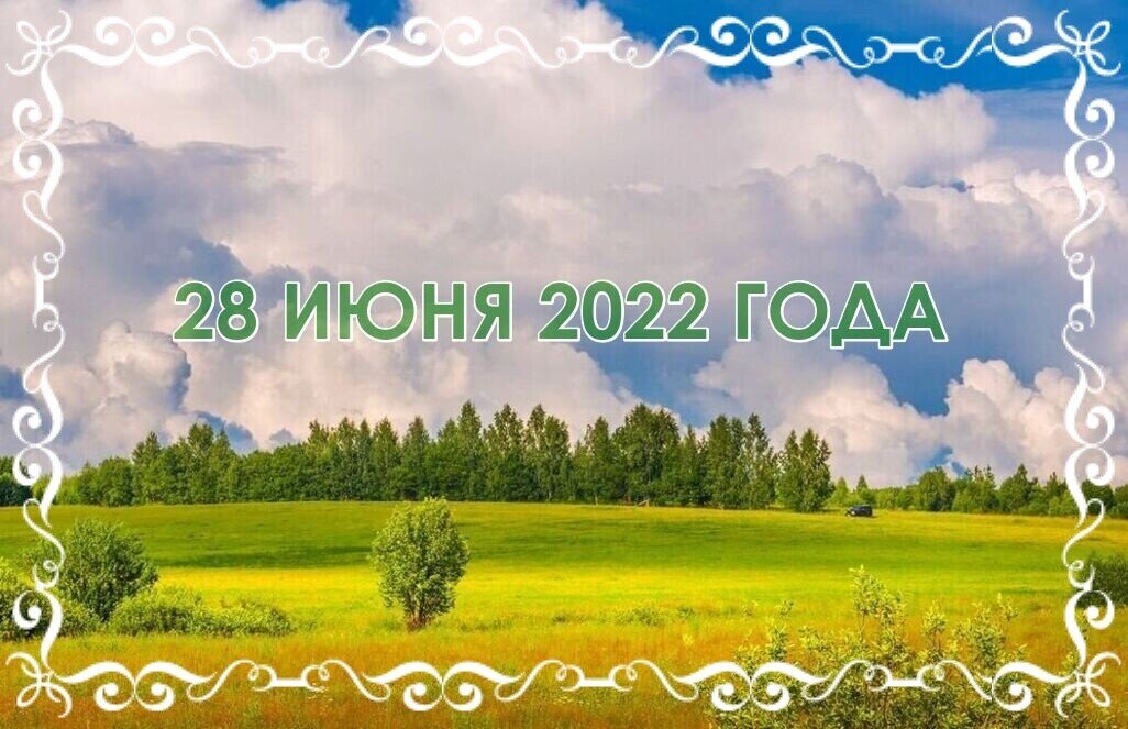 28 июня. Видов день. День Конституции Украины. 28 Июня день Конституции Украины.