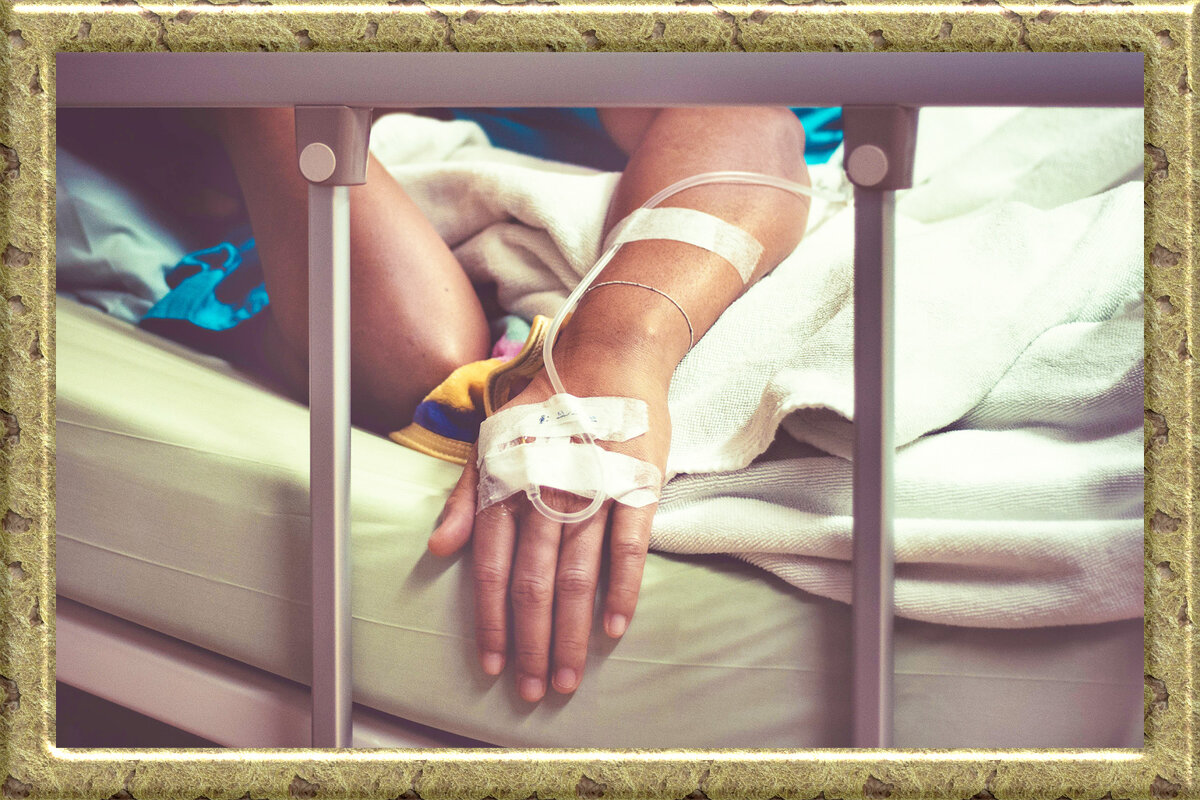 Фото из открытых источников