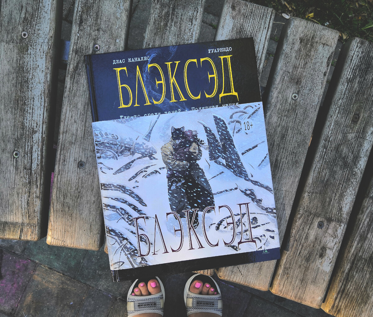 Тот случай, когда манжета у книги хороша... 