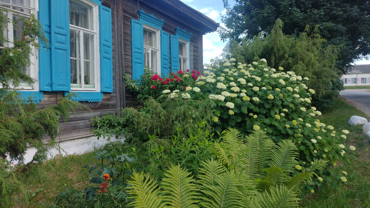 Фото автора