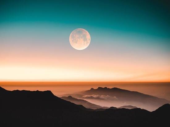     Фото: unsplash.com