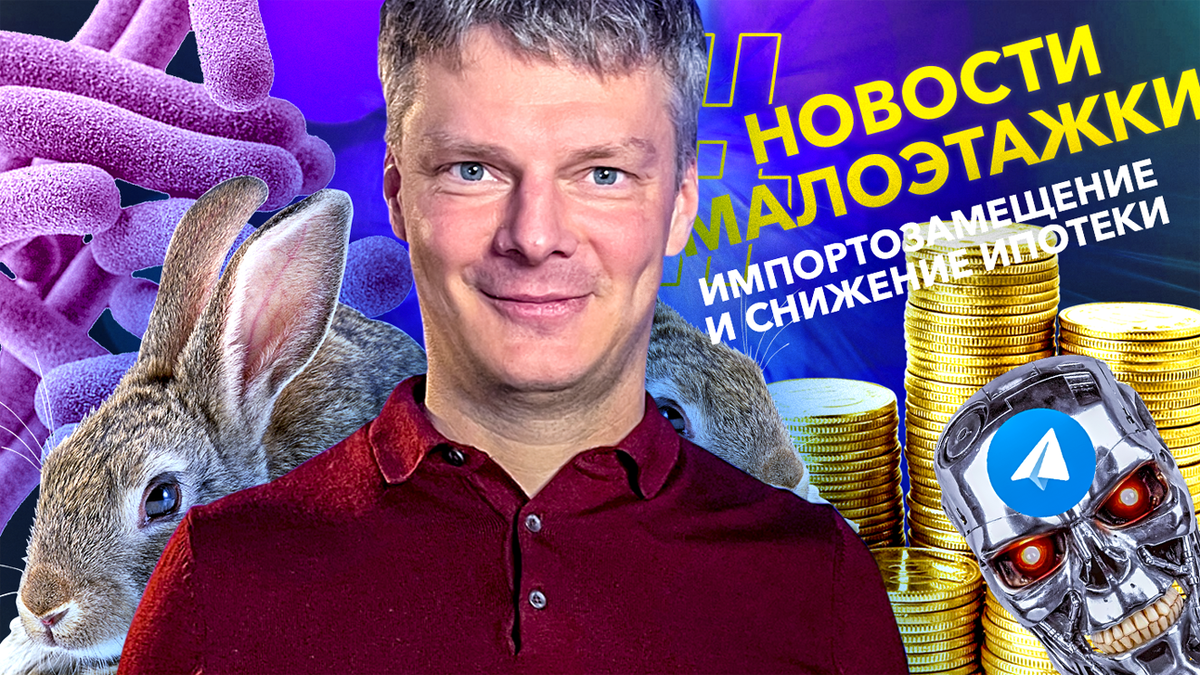 Новости малоэтажки: низкая ипотека с высоким первым взносом,  импортозамещение, умный бетон и кролики на участке | GOOD WOOD  Строительство домов | Дзен