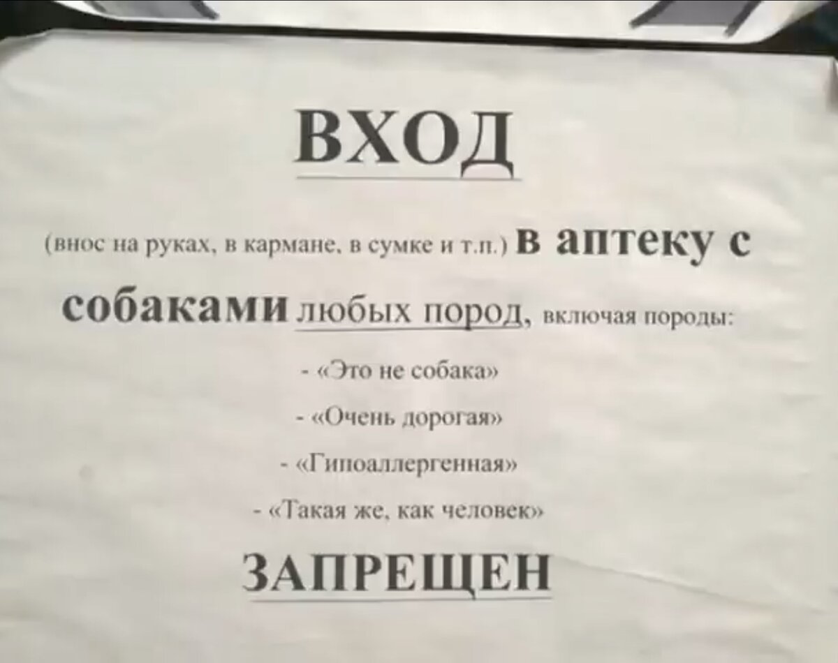 Объявления юмор