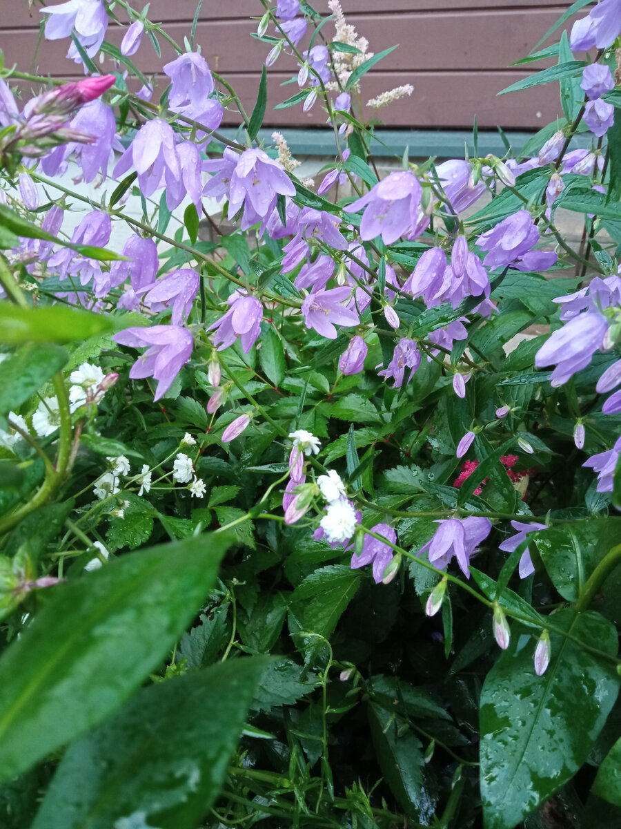 Июль этого года