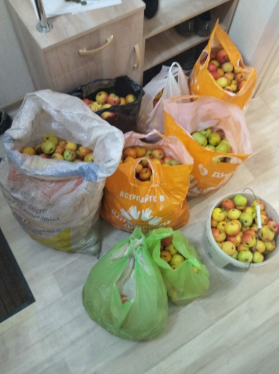 Гора яблок) 