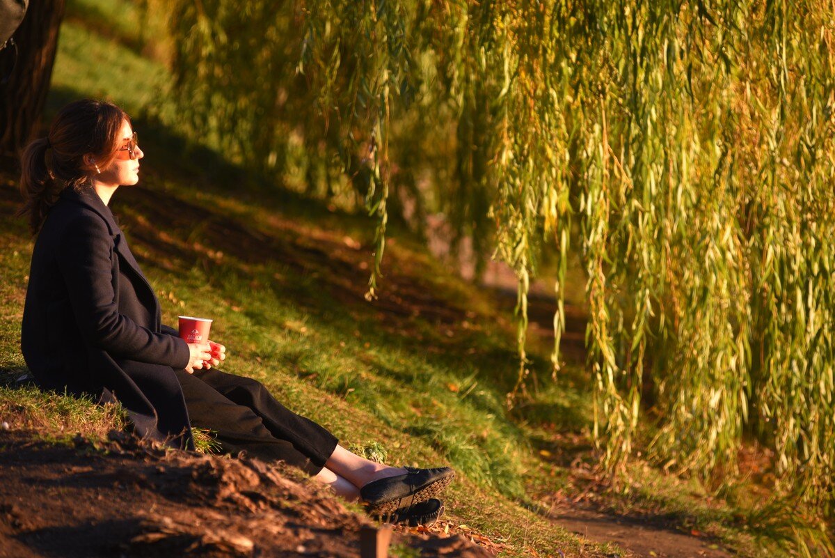    Фото: Александр Кожохин / Вечерняя Москва