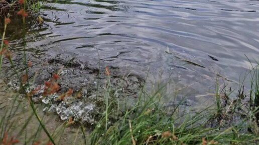 У воды