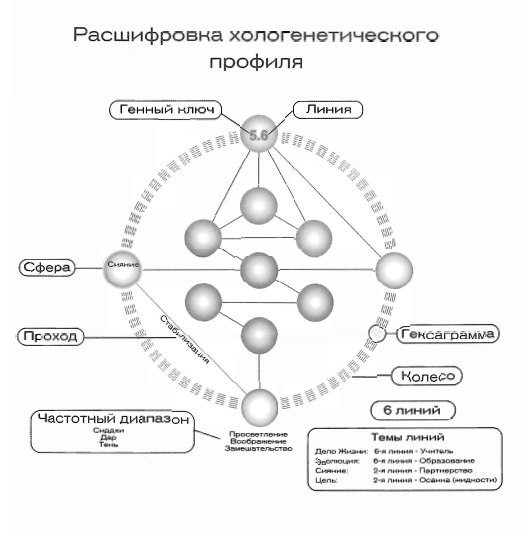 22 генный ключ дизайн