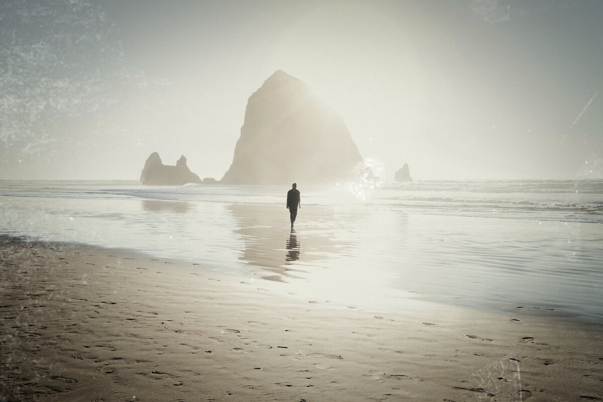 Фото: https://www.freestockimages.ru