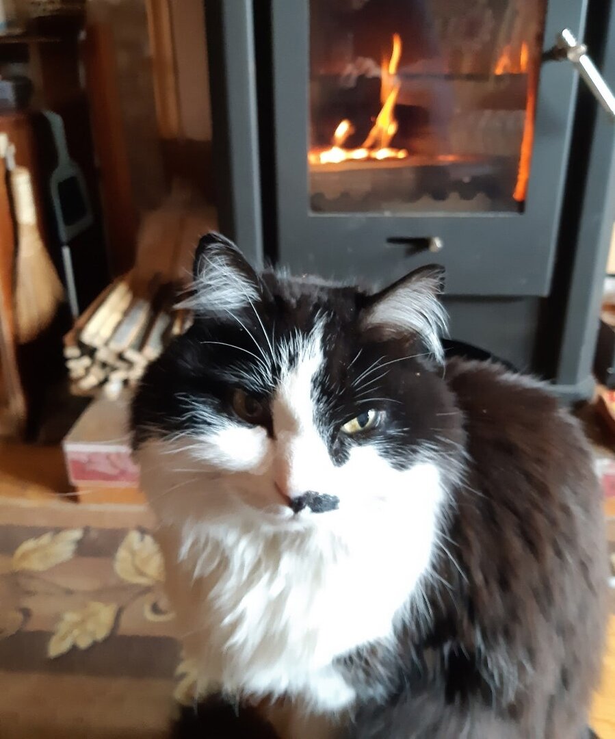 Фото предоставлено Еленой Габовой