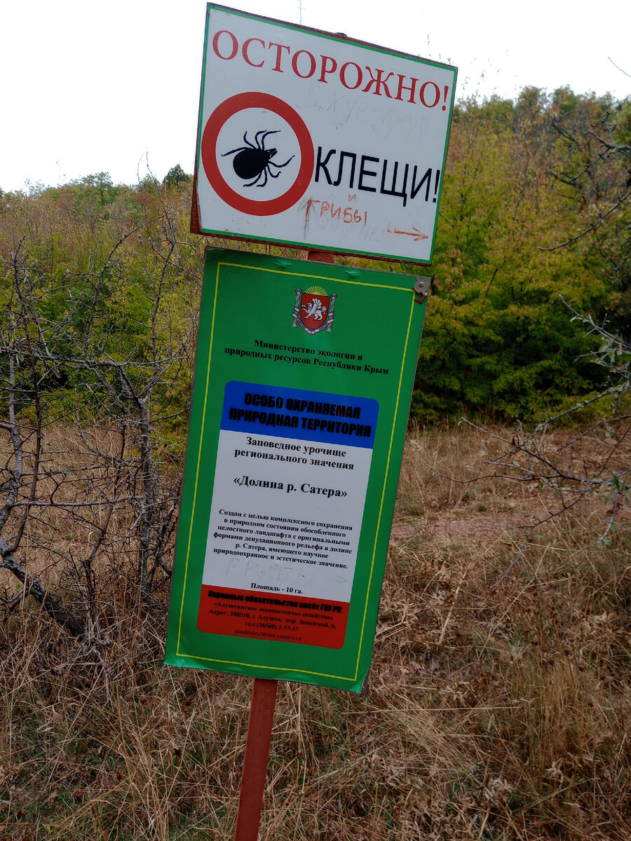 Информационный указатель