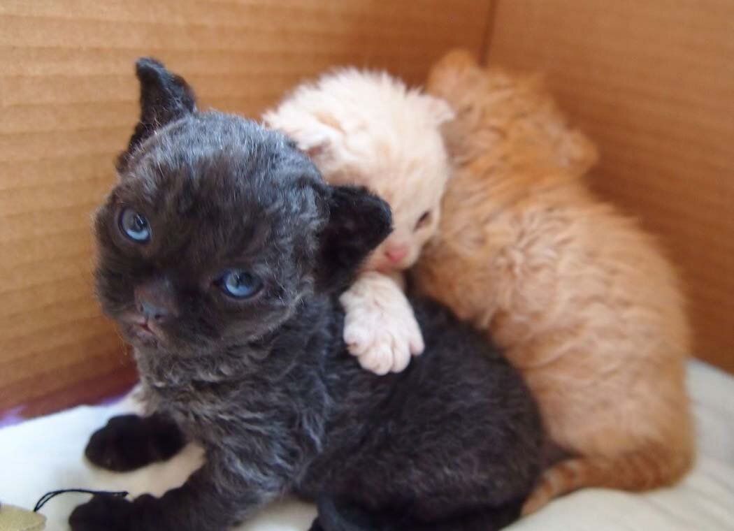 Источник: fishki.net